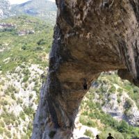 Rodellar 2018 Rodellar 2018